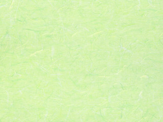 Obraz na płótnie Canvas Pastel green japanese paper texture. Best for spring design. 
