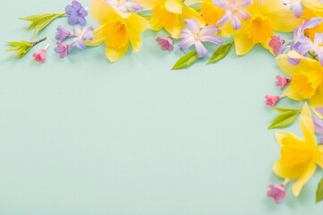 spring flowers on green  papper background