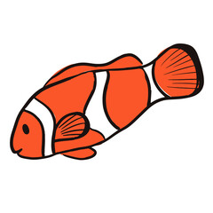 Vector logo clown fish. Sea fish logotype