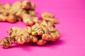 Close-up photo of ginger on a pink background. Ginger is one of the medicinal herbs that have many medicinal propertie