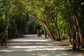 Old road in Coba Archeological Area, Yucatan Peninsula, Mexico