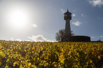 Le Phare de Verzenay, au coeur du vignoble champenois, érigé en 1909 par Joseph Goulet,...