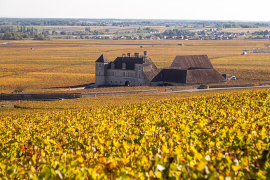 Le chateau du Clos de Vougeot, siège de la Confrérie des Chevaliers du Tastevin classé au patrimoine mondial de l’Unesco, au coeur de la route des Grands Crus de Bourgogne, en Côte-d’Or, en automne