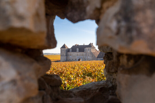 Le château du Clos de Vougeot, siège de la Confrérie des Chevaliers du Tastevin, classé au patrimoine mondial de l’Unesco, au coeur de la route des Grands Crus de Bourgogne