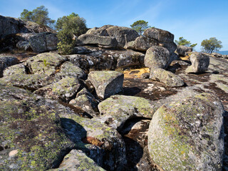 Granito en Peña Muñana. Madrid. España.