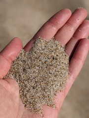 sea sand lies in the palm of your hand, macro