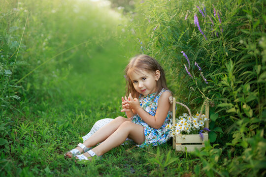 A little cute shy girl with a basket of daisies is sitting on a path in a meadow with different plants and flowers. World Children's Day. Fearful anxious shy kid
