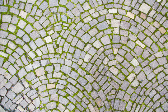 Elaborate sidewalk paving laid with natural header stones or cobblestones in a beautiful round pattern, surrounded by grass and pebbles - close up, garden design, landscaping and road building texture