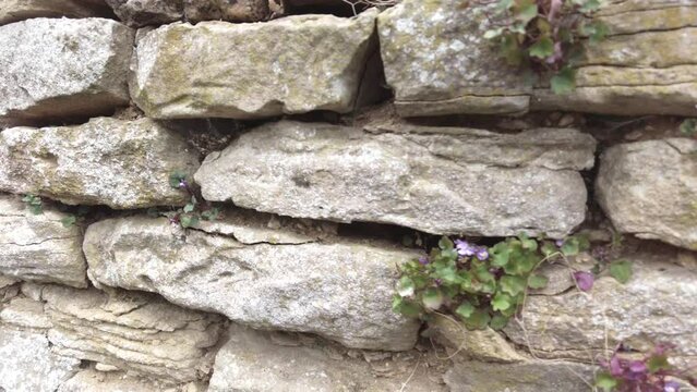 Slow pan of an old mud and stone wall in rural Europe, close up