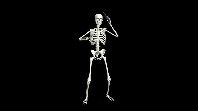 Skeleton is talking on the phone. Skeleton conversation using the phone. 3D realistic animation.