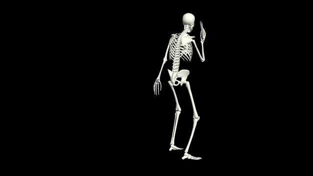 Skeleton is talking on the phone. Skeleton conversation using the phone. 3D realistic animation.