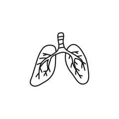 Doodle outline human lungs icon.