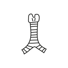 Doodle outline trachea icon.