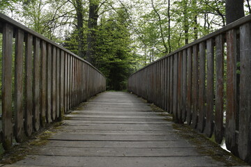 Fototapeta premium Wooden bridge in the park