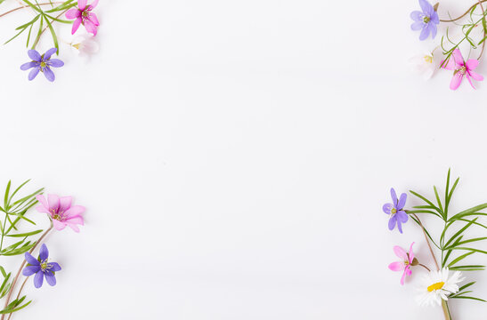 Delicate small wildflowers in pink, blue, purple on a white background
