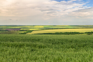 landscape of Ukraine in fragments