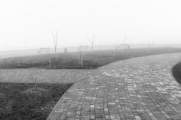 black and white foggy morning landscape