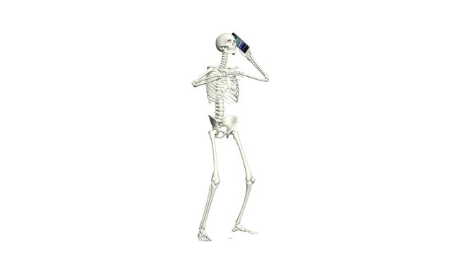 Skeleton is talking on the phone. Skeleton conversation using the phone. 3D realistic animation. White background.