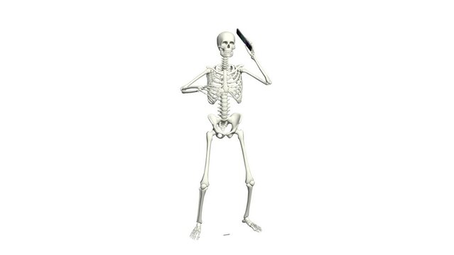 Skeleton is talking on the phone. Skeleton conversation using the phone. 3D realistic animation. White background.