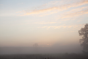 Fototapeta na wymiar Beautiful foggy sunrise over misty field an early morning. Winter autumn countryside landscape. Fog down in valley, sun and fluffy clouds above horizon