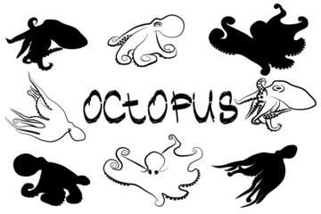 Black and white octopus silhouettes and 