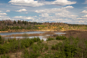 Fototapeta premium Landscape with the lake and trees under blue sky in the spring