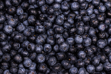 Blueberry background. Ripe berries texture background.