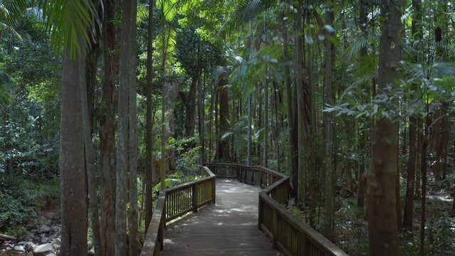 Kindalilla National Park hinterland walk trail. Queensland wild nature reserve