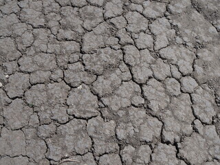 Dry cracked earth, parched land, Earth dirt texture background of brown mud, arid soil, Dry cracked earth texture, cracked earth, Dry mud, broken texture, desert, Global Warming, Climate Change.