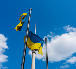 Die Ukrainische Nationalflagge vor dem Berliner Fernsehturm am Alexanderplatz