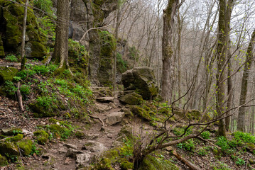 Landscape at Maquoketa Caves State Park.