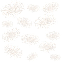 Floral background. Beautiful flowers.