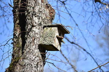 Birdhouse on a tree in a city park