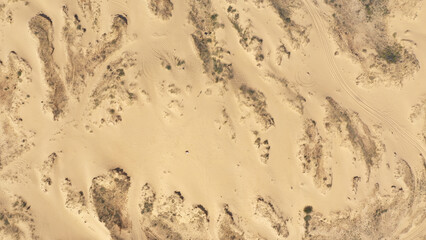 Aerial View of the Textures and Patterns of the Desert Sands. Beautiful landscape . Desert and green bushes
