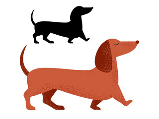 Dachshund Dog Breed in Cartoon and Outline