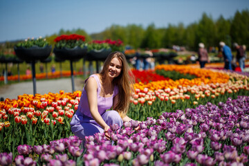 Obraz na płótnie Canvas A young woman in a pink suit stands in a blooming field of tulips. Spring time
