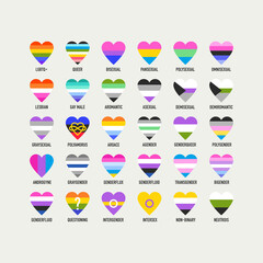 Heart shaped pride flag. Sexual, gender identity - 502822920