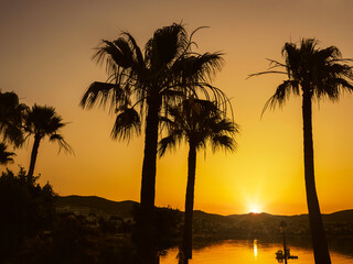 Obraz na płótnie Canvas Sunset on a Tropical Island. Palm trees, sea and sun, luxury vacation and travel concept