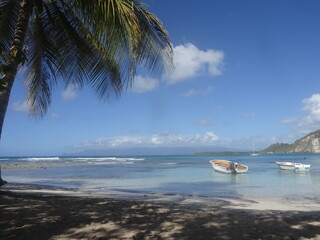 Fototapeta na wymiar Derrière le palmier et la plage, un bateau sur la paradisiaque mer turquoise