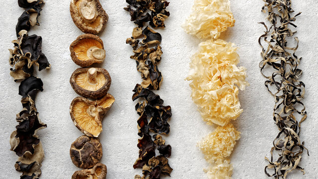 Different species of Asian dry fungi in lines. Assortment of dried mushrooms.