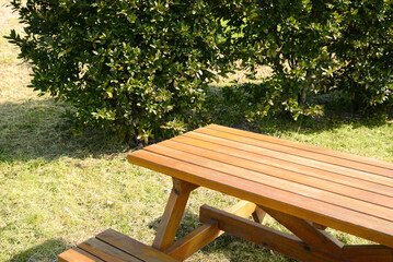 Empty wooden picnic table with bench in park on sunny day