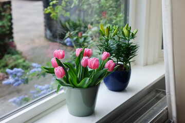 Beautiful bouquet with pink tulips and potted lily on white window sill indoors