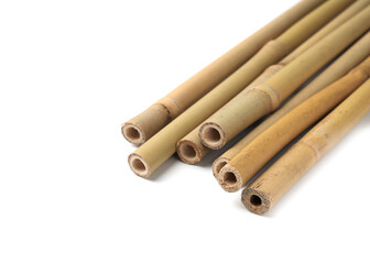 Pile of dry bamboo sticks on white background
