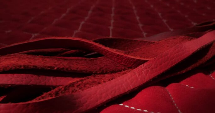 detailed, extreme close-up of a red whip on a red blanket