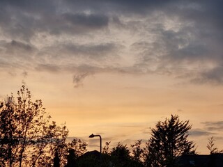 sunset in the forest