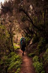 Hiker in the magic woods.