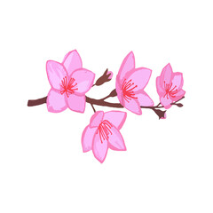 branch of pink blossom