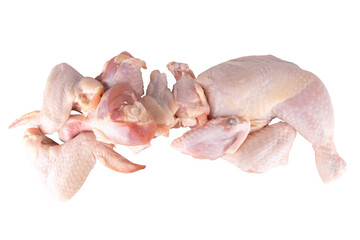 chicken collection fresh isolated on white background