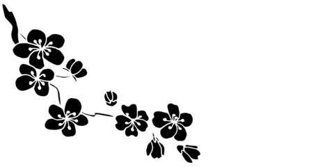 Black sakura  vector illustration in boho style.Template for cards, banners, backgrounds.