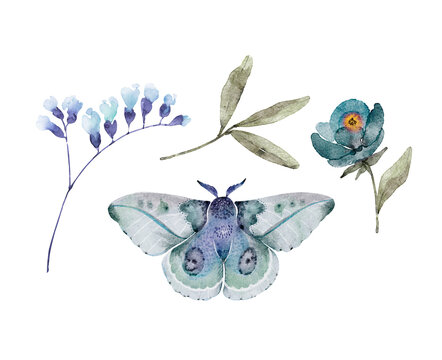 set of watercolor illustrations of blue flowers and butterflies on a white background. hand painted for design and invitations.